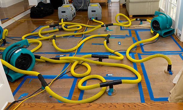 Professional Structural Drying And Dehumidification technician working in Gnadenhutten, OH